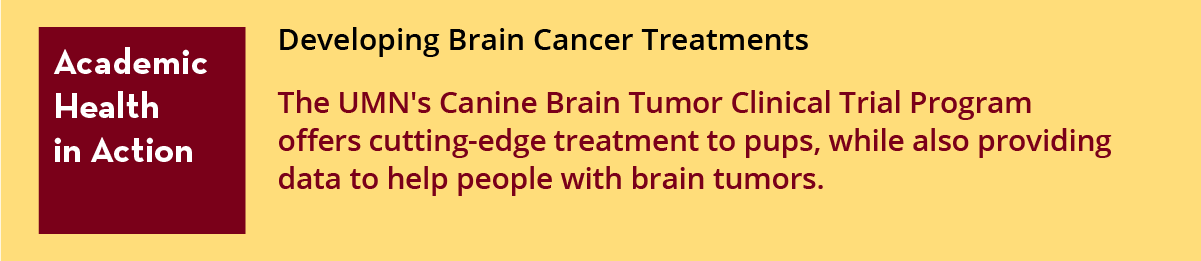 Academic Health in Action: Developing Brain Cancer Treatment